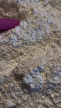 Pure powder and crumbs