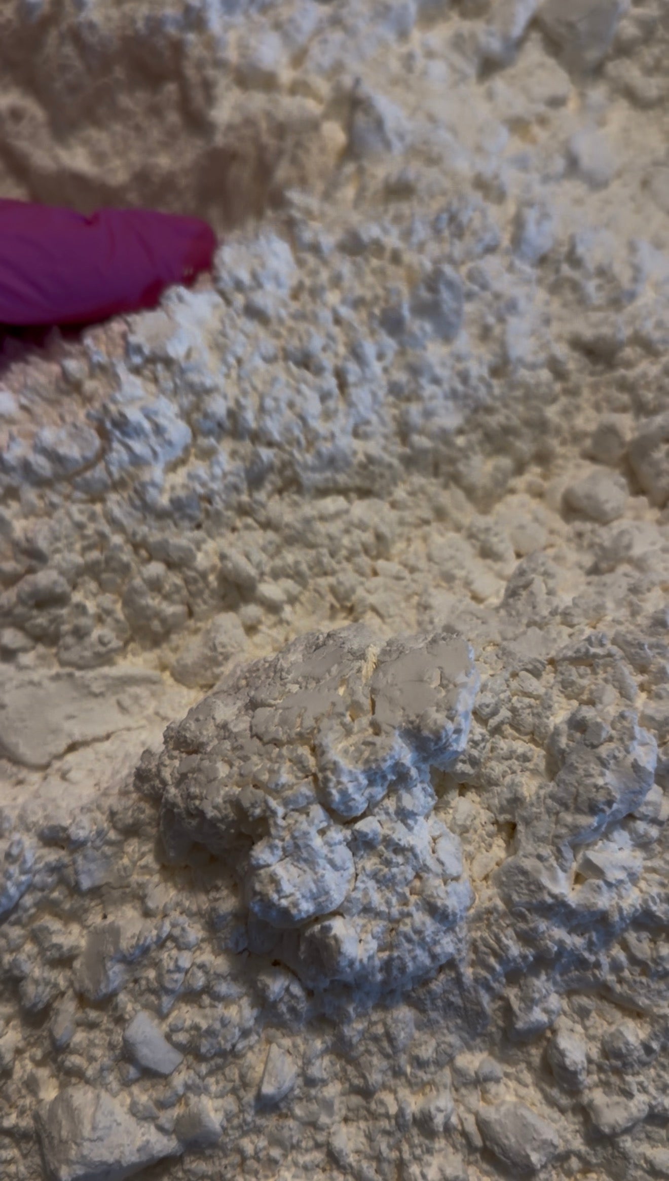 Pure powder and crumbs